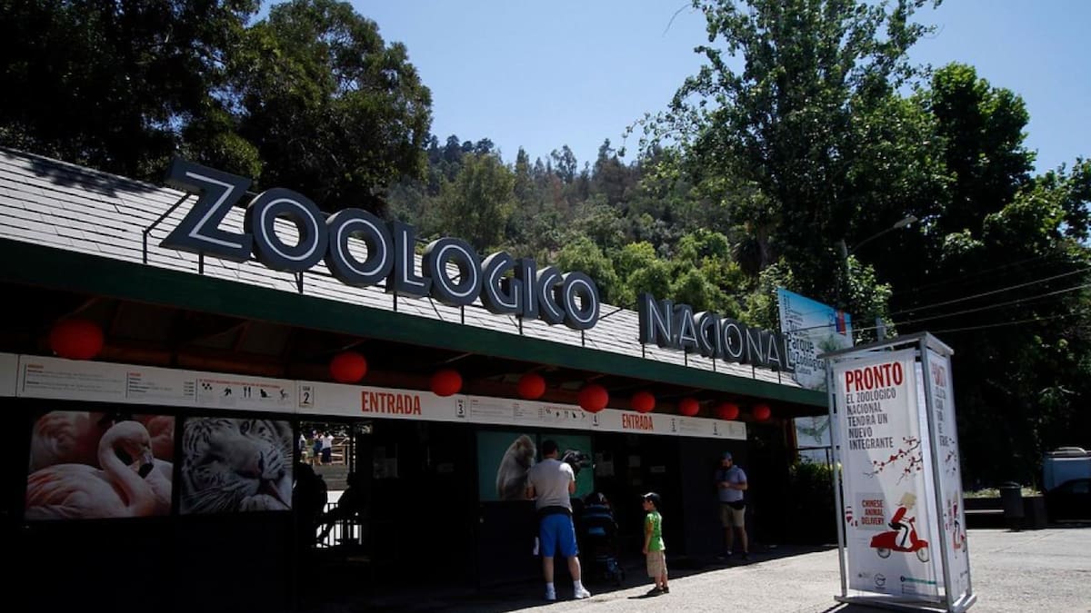 Zoológico Metropolitano: Así puedes conseguir entradas gratis para este entretenido panorama familiar