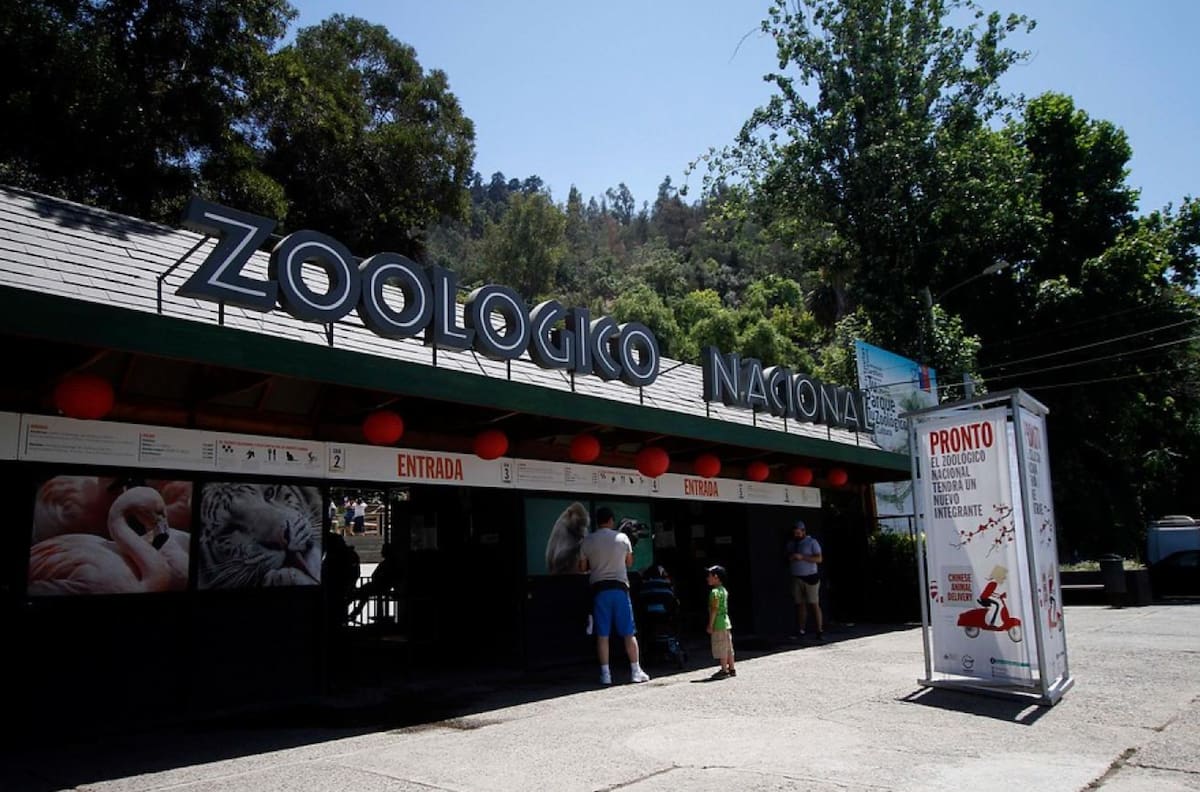 Zoológico Metropolitano: Así puedes conseguir entradas gratis para este entretenido panorama familiar