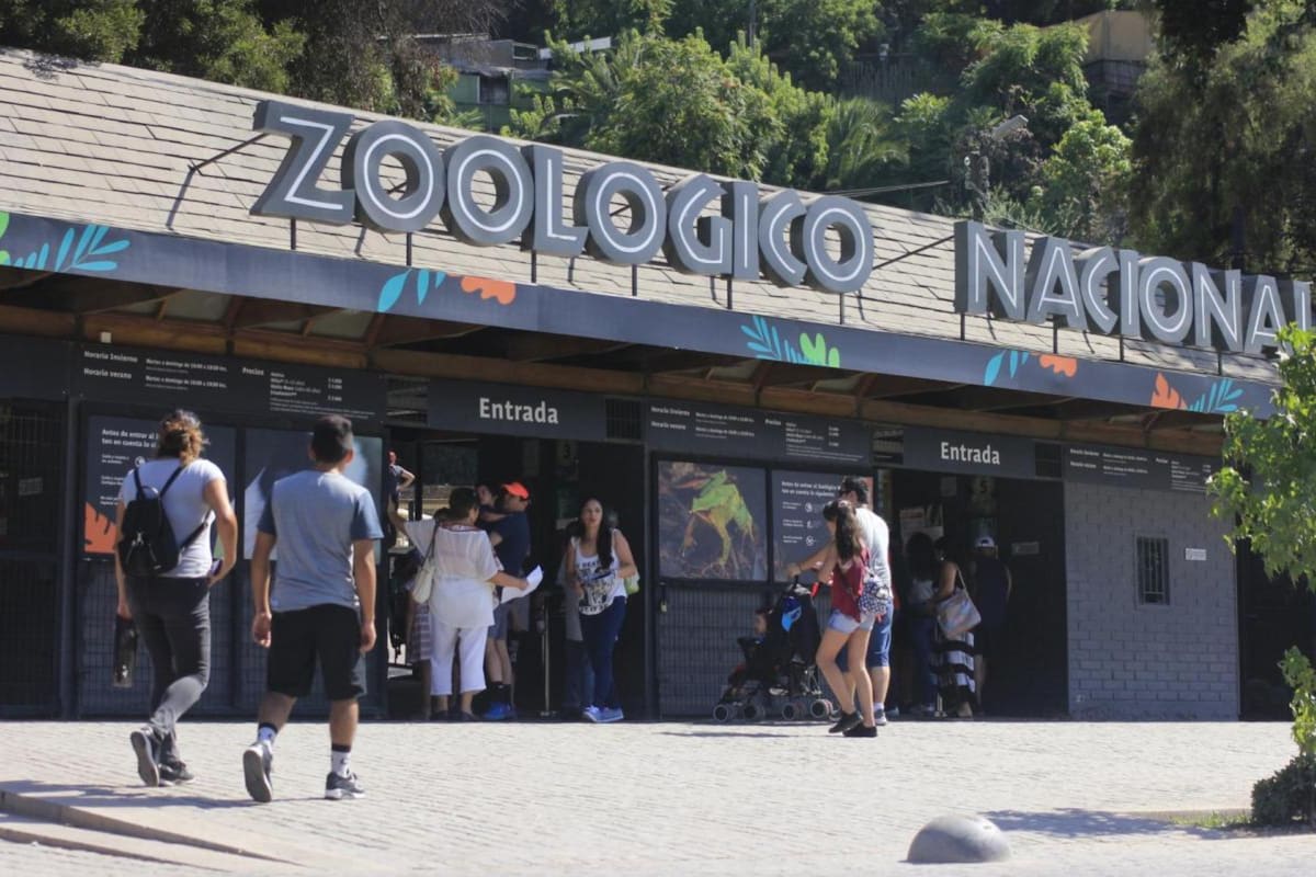 El recinto volvió a abrir sus puertas tras varios meses sin recibir público.