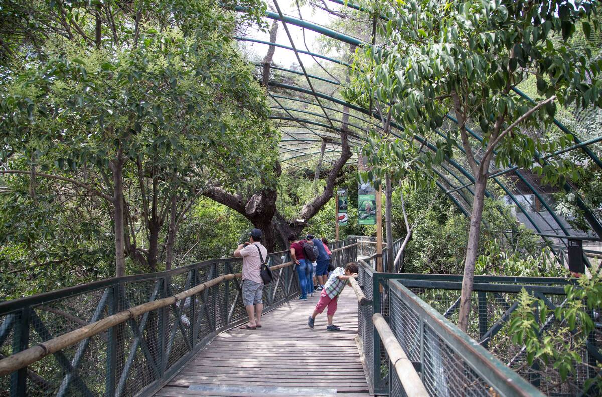 Así puedes conseguir entradas gratis para el Zoológico Metropolitano durante estas vacaciones