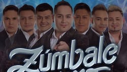 ¿Cuánto cuesta el lujoso Porsche 911 que conduce Alex Muñoz, cofundador de Zúmbale Primo?