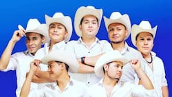 Le roban lujoso auto a integrante de Zúmbale Primo en violento portonazo