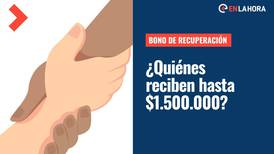 Bono de Recuperación: ¿Quiénes son los afectados por el incendio de Viña del Mar que recibirán el aporte de hasta $1.500.000?