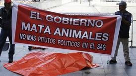 León muerto fue llevado hasta La Moneda como protesta contra el SAG