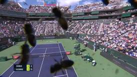 ¡Alcaraz salió arrancando! Insólito ataque de abejas en el Masters 1000 de Indian Wells