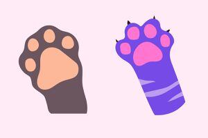 Test de personalidad: Elige una de las dos patitas y descubre una verdad sobre ti