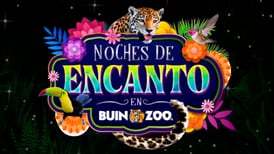 Noches de Encanto en Buin Zoo: ¿Cuándo se realizarán y cuánto cuestan las entradas?